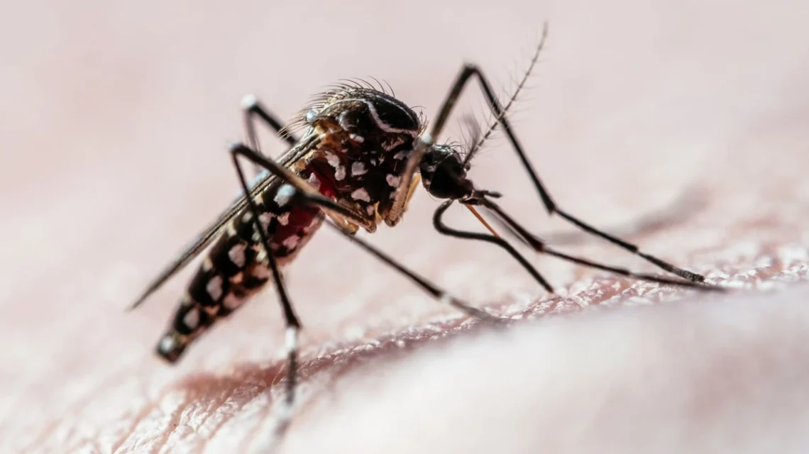 AGU aciona STF por autorização para pagar pensão a vítimas da Zika